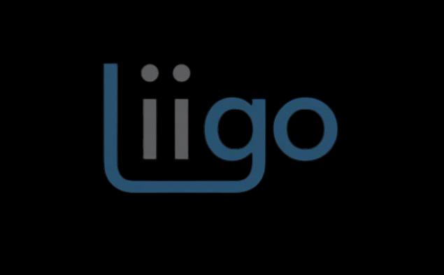 Logo Liigo